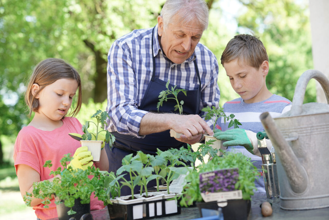 Retiree teaching kids about gardening